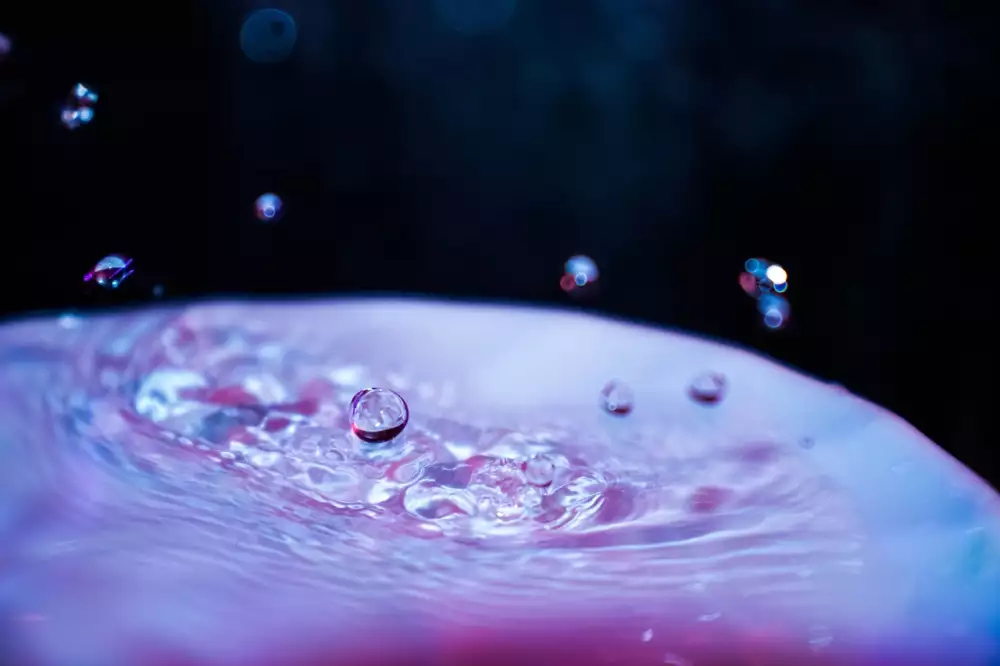 Ripple Budoucnost