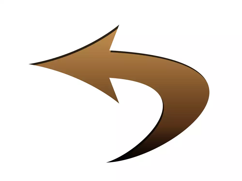 Neschopenka Zpětně